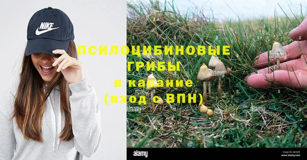 ПСИЛОЦИБИНОВЫЕ ГРИБЫ Алексеевка
