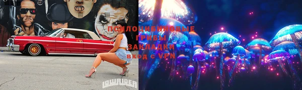 ПСИЛОЦИБИНОВЫЕ ГРИБЫ Алексеевка