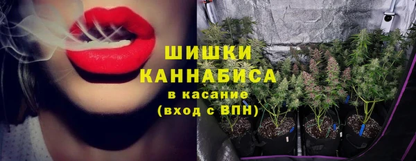 ГАЛЛЮЦИНОГЕННЫЕ ГРИБЫ Алексин