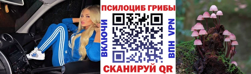 Псилоцибиновые грибы GOLDEN TEACHER  Слюдянка 